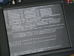 kernel panic
